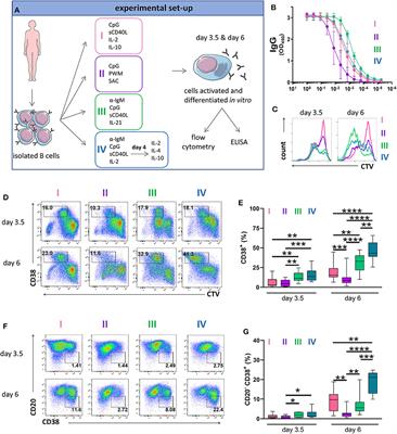 Flow Cytometry-Based Protocols for the Analysis of Human Plasma Cell Differentiation